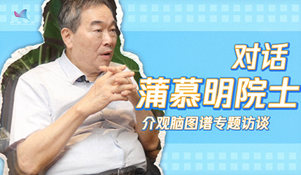 繪制大腦地圖：靈長類腦圖譜的挑戰(zhàn)與探索